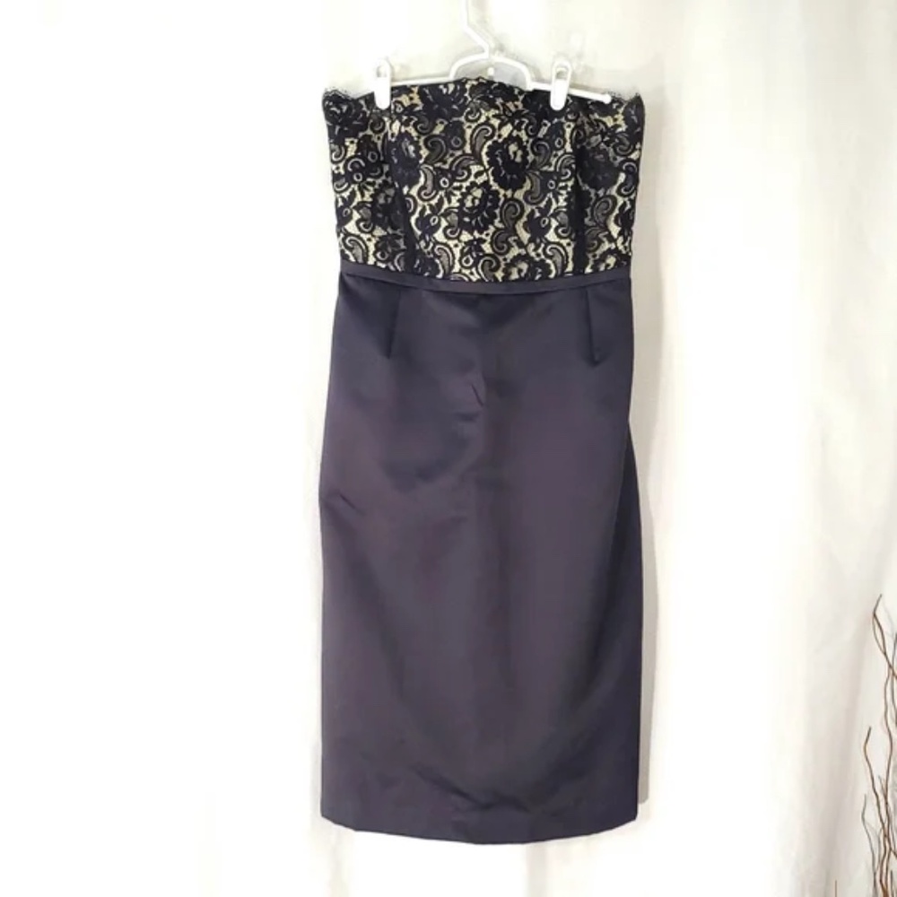 Ann Taylor Strapless Lace Bodice Dress